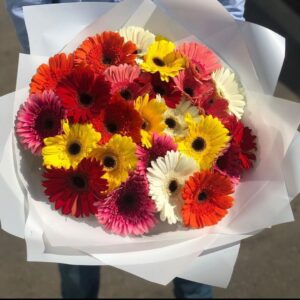 DAISY UNIQUE