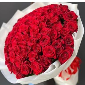 100 Red Roses