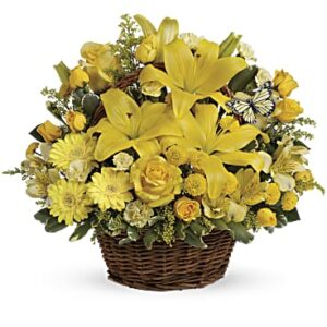 Basket full of wishes