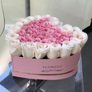 LADY PINKS