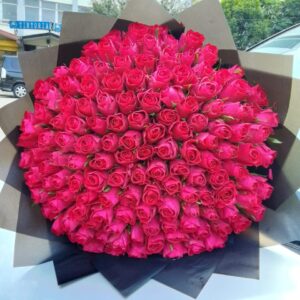 150 stems Rose Enchantment