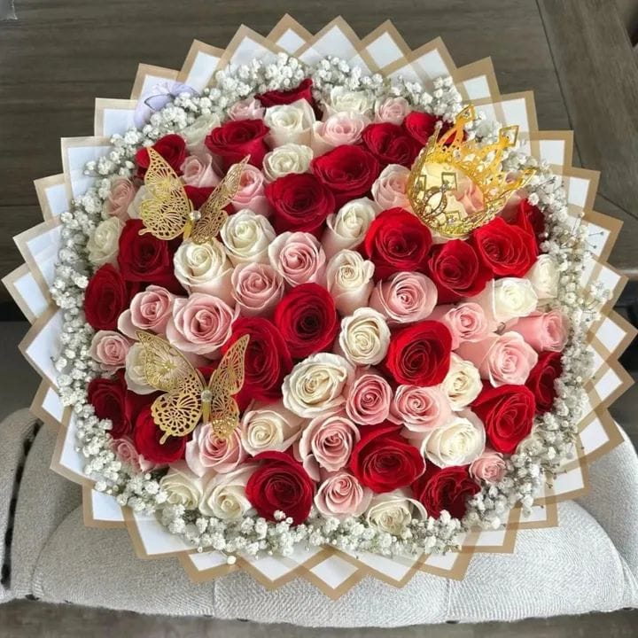 WhatsApp Image 2026-01-05 at 09.28.03(3)